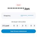 app-TON Domain Info bot-img